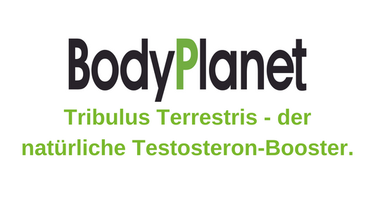 Tribulus Terrestris - der natürliche Testosteron-Booster.